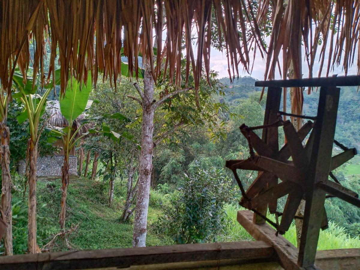 Dao Homestay Hoang Su Phi Экстерьер фото